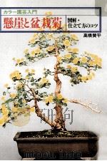 懸崖と盆栽菊   1979.10  PDF电子版封面    高橋賛平 