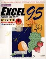 Excel95 super master ェントリーューザー編   1996.02  PDF电子版封面     
