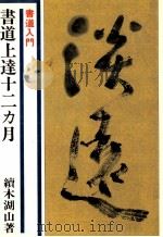 書道上達十二カ月   1979.11  PDF电子版封面    続木湖山 