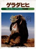 ゲラダヒヒ   1984.09  PDF电子版封面    河合雅雄 