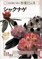 シャクナゲ   1977.06  PDF电子版封面    脇坂誠著 