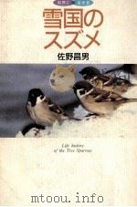 雪国のスズメ   1991.04  PDF电子版封面    佐野昌男著 