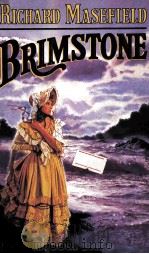 BRIMSTONE   1987  PDF电子版封面  033030139X   