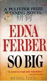 EDNA FERBER SO BIG（1924 PDF版）