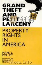 Grand theft and petit larceny : property rights in Americ   1993  PDF电子版封面    Mark L. Pollot 