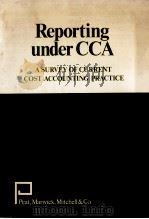 Reporing under CCA : a survey of current cost accounting practice   1982  PDF电子版封面     