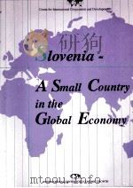 Slovenia : A small country in the global economy   1993  PDF电子版封面    Marjan Senjur 