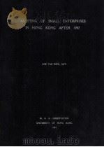 Auditing of small enterprises in hong kong after 1997（1991 PDF版）