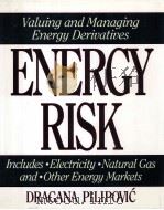 Energy risk : valuing and managing energy derivatives   1998  PDF电子版封面    Dragana Pilipovic 