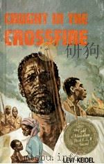 Caught in the crossfire:the trials and triumphs of african believers through an era of tribulation（1979 PDF版）