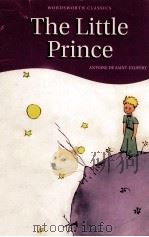 The Little Prince : Antonie de Saint-Exupéry   1995  PDF电子版封面    irene testot-ferry 