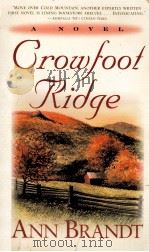 Crowfoot ridge : A novel   1999  PDF电子版封面    Ann Brandt 