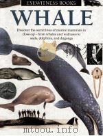 Whale   1993  PDF电子版封面    Vassili Papastavrou 