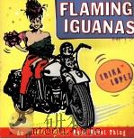 FLAMING IGUANAS（1997 PDF版）
