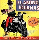 FLAMING IGUANAS   1997  PDF电子版封面  068485368X   