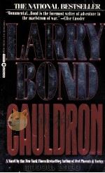 LARRY BOND CAULDRON   1993  PDF电子版封面  0446600261   