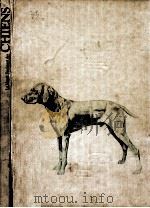 Le monde fascinant des chiens   1979  PDF电子版封面     