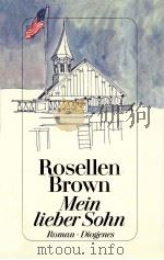 Mein lieber Sohn:Roman   1993  PDF电子版封面    Rosellen Brown 