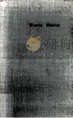 Bunte Steine（ PDF版）