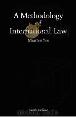A METHODOLOGY OF INTERNATIONAL LAW   1984  PDF电子版封面  044484847X   