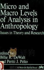 MICRA AND MACRO LEVELS OF ANALYSIS IN ANTHROPOLOGY ISSUES IN THEORY AND RESEARCH   1985  PDF电子版封面    BILLIE R.DEWALT  PERTTI J.PELT 
