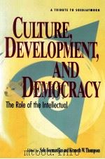 CULTURE DEVELOPMENT AND DEMOCRACY:THE ROLE OF THE INTELLECTUAL（1994 PDF版）