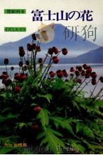 富士山の花   1982.06  PDF电子版封面    イズミエイコ著 