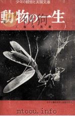 動物の一生   1955.09  PDF电子版封面    工藤茂美著 