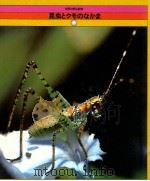 昆虫とクモのなかま   1979  PDF电子版封面    ジョン·ニアリー，波多江醇著 
