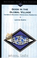 GODS IN THE GLOBAL VILLAGE  THE WORLD'S RELIGIONS IN SOCIOLOGICAL PERSPECTIVE   1995  PDF电子版封面  0803990375   