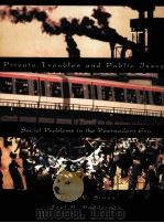 PRIVATE TROUBLES AND PUBLIC ISSUES SOCIAL PROBLEMS IN THE POSTMODERN ERA   1997  PDF电子版封面  0155013688   