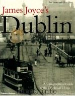 JAMES JOYCE'S DUBLIN A TOPOGRAPHICAL GUIDE TO THE DUBLIN OF ULYSSES（1981 PDF版）