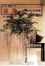 盆栽:仕立て方と管理.新版   1979.08  PDF电子版封面    加藤秀男著 