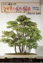 寄せ植え·石つき盆栽   1980.09  PDF电子版封面    山田釜次郎 