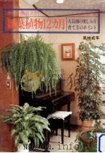観葉植物12カ月   1981.03  PDF电子版封面    高林成年 