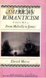 AMERICAN ROMANTICISM VOLUME 2 FROM MELVILLE TO JAMES   1987  PDF电子版封面    DAVID MORSE 