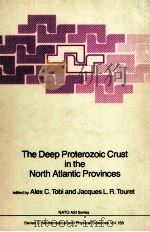 THE DEEP PROTEROZOIC CRUST IN THE NORTH ATLANTIC PROVINCES   1985  PDF电子版封面  9027721017   