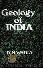 GEOLOGY OF INDIA（ PDF版）