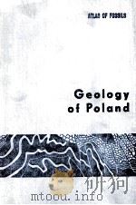 GEOLOGY OF POLAND VLOUME 3 PART 2c   1989  PDF电子版封面  8322003668   