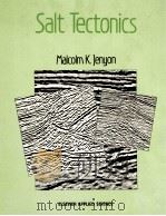 Salt tectonics（1986 PDF版）
