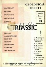 SPECIAL REPORT NO.13 A CORRELATION OF TRIASSIC ROCKS IN THE BRITISH ISLES（1980 PDF版）