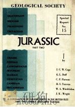 SPECIAL REPORT NO.15 A CORRELATION OF JURASSIC ROCKS IN THE BRITISH ISLES（1980 PDF版）