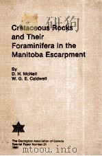 CRETACEOUS ROCKS AND THEIR FORAMINIFERA IN THE MANTIOBA ESCARPMENT   1981  PDF电子版封面  091921617X   