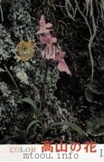 高山の花:高山植物原色写真図譜 1（1967.07 PDF版）