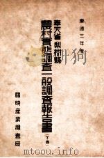 農村實態調查一般報告書  梨樹縣  下卷   1936  PDF电子版封面    臨時產業調查局編 