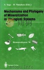 Mechanisms and Phylogeny of Mineralization in Biological Systems（1991 PDF版）