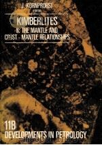 The mantle and crust-mantle relationships:proceedings of the Third International Kimberlite Conferen   1984  PDF电子版封面  0444422749  Kornprobst;Jacques.;Internatio 