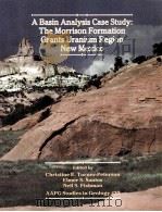 A BASIN ANALYSIS CASE STUDY:THE MORRISON FORMATION GRANTS URANIUM REGION NEW MEXICO   1986  PDF电子版封面  0891810285   