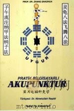 PRATIK BILGISAYARLI AKUPUNKTUR   1999  PDF电子版封面  9754200254   