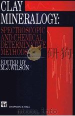 CLAY MINERALOGY:SPECTROSCOPIC AND CHEMICAL DETERMINATIVE METHODS（1994 PDF版）